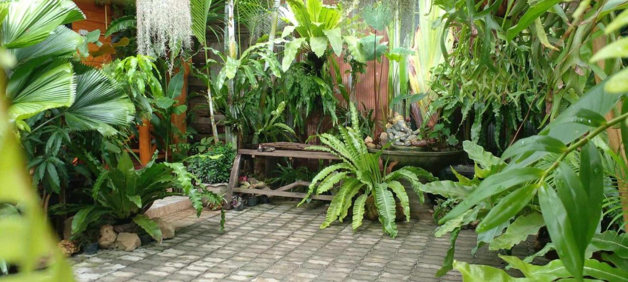 Ouychai Resort Home Stay Chiang Mai Buitenkant foto