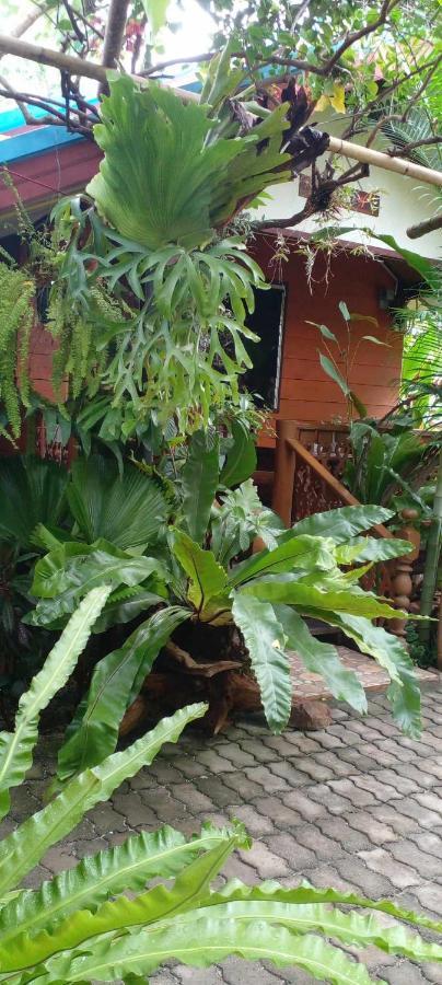 Ouychai Resort Home Stay Chiang Mai Buitenkant foto