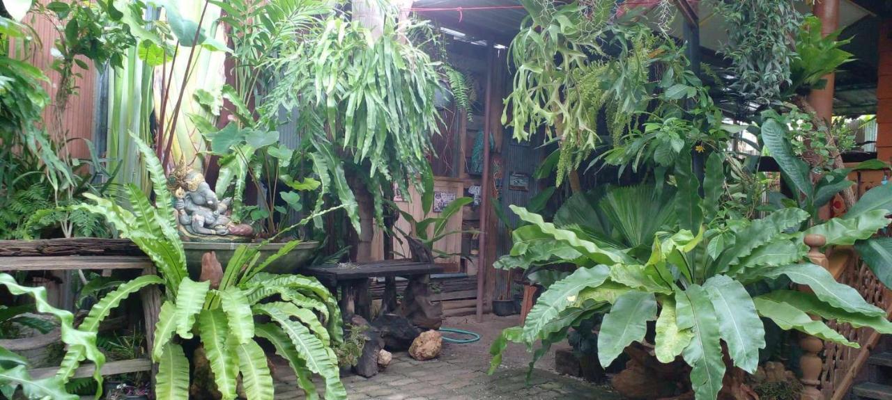 Ouychai Resort Home Stay Chiang Mai Buitenkant foto